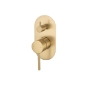 <h5>Gold Colour Options</h5>