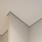 <h5>Shadow Line </h5>