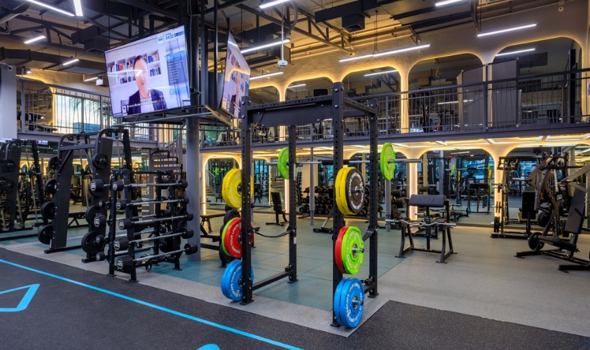 gym fitness gym fitness